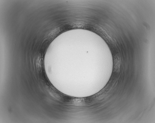 X0000115560126200912041101