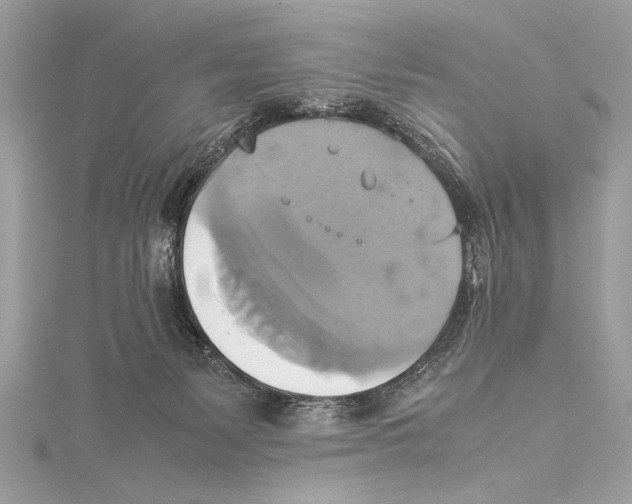 X0000115560127200912041101