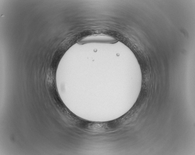 X0000115560129200912041101