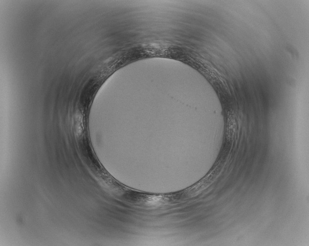 X0000115560130200912041101