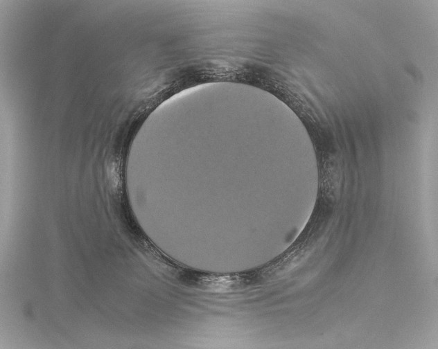 X0000115560131200912041101