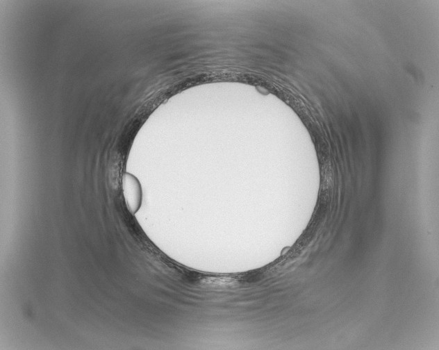 X0000115560133200912041101