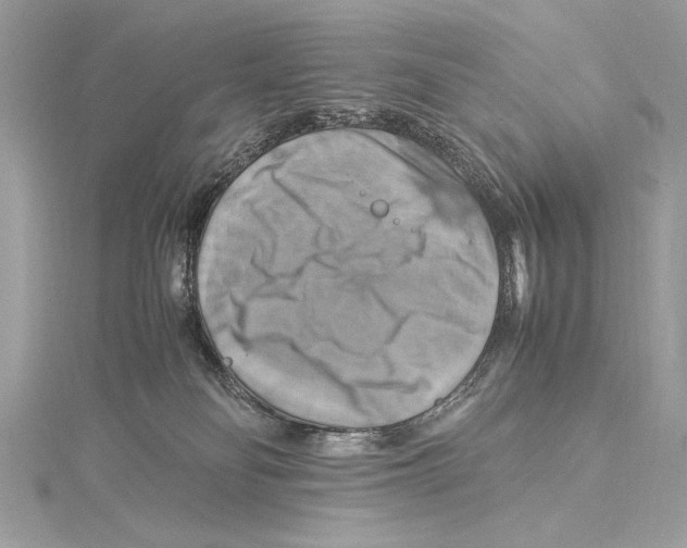 X0000115560134200912041101