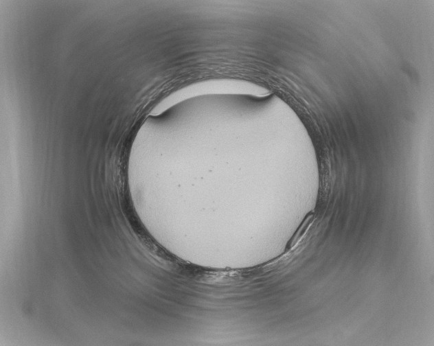 X0000115560136200912041101