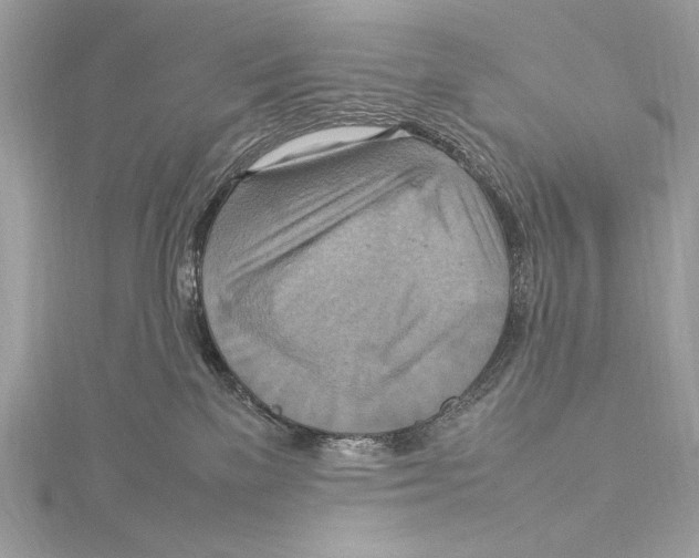 X0000115560137200912041101