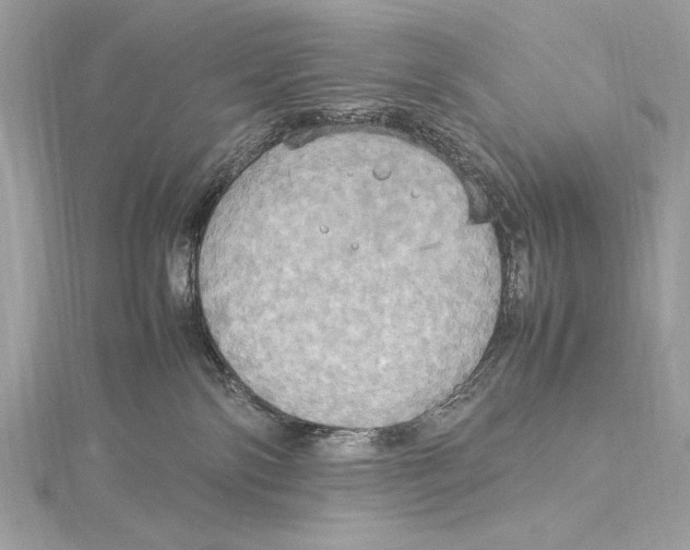 X0000115560138200912041101