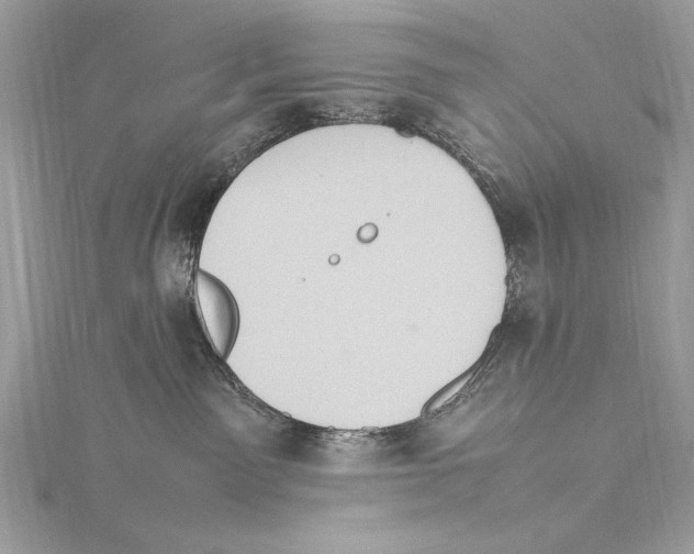 X0000115560141200912041101