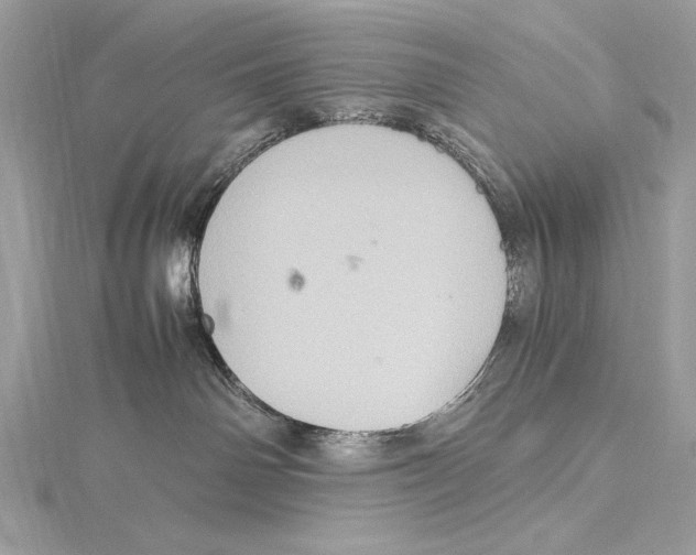 X0000115560142200912041101