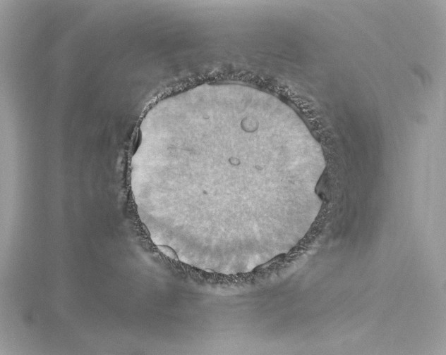 X0000115560144200912041101