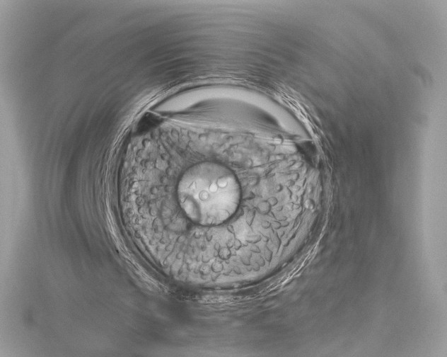 X0000115560145200912041100