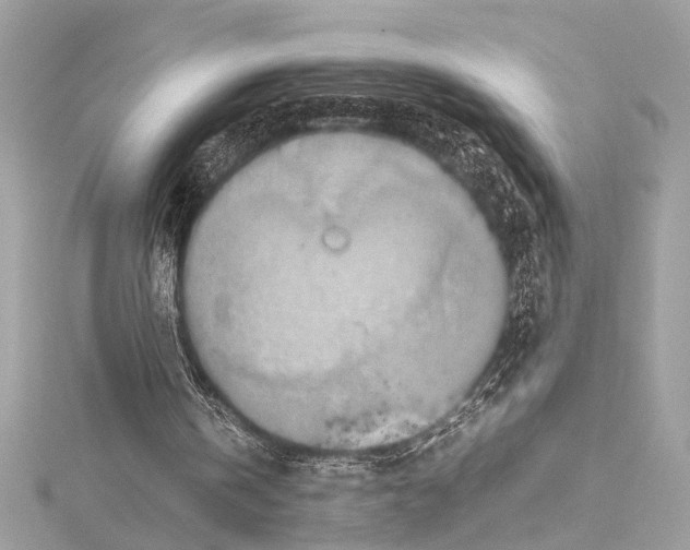 X0000115560146200912041100