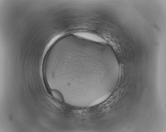 X0000115560147200912041100