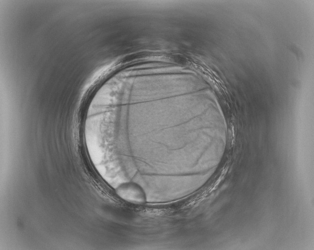 X0000115560149200912041100