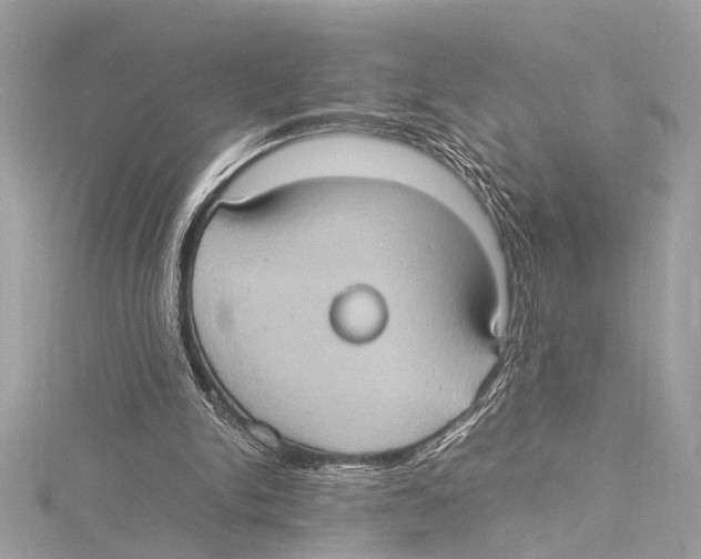 X0000115560150200912041100