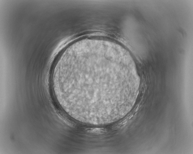 X0000115560151200912041100