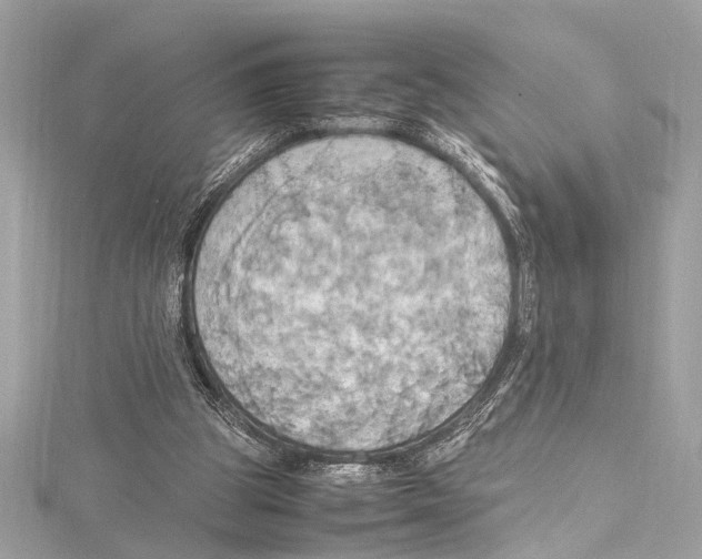 X0000115560153200912041100