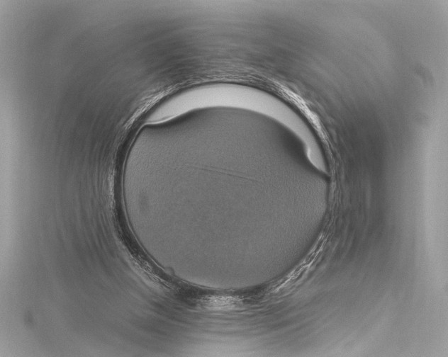 X0000115560154200912041100