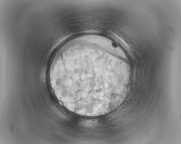 X0000115560155200912041100