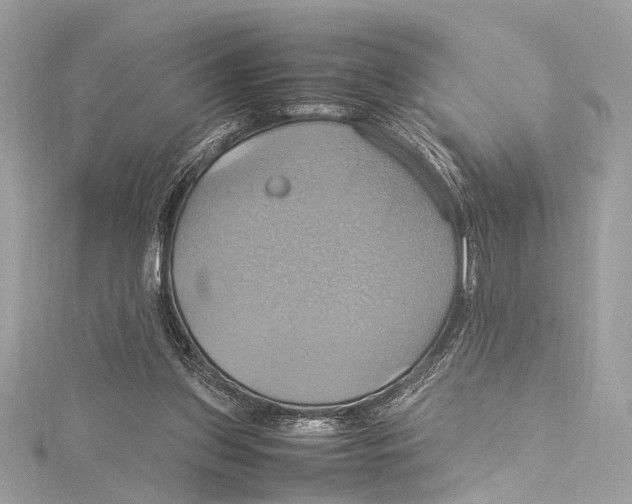 X0000115560157200912041100