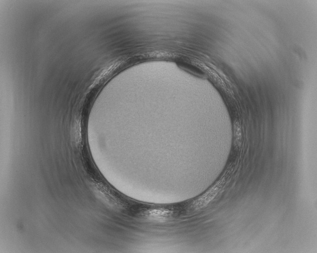 X0000115560158200912041100