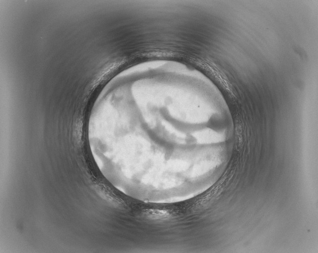 X0000115560159200912041100