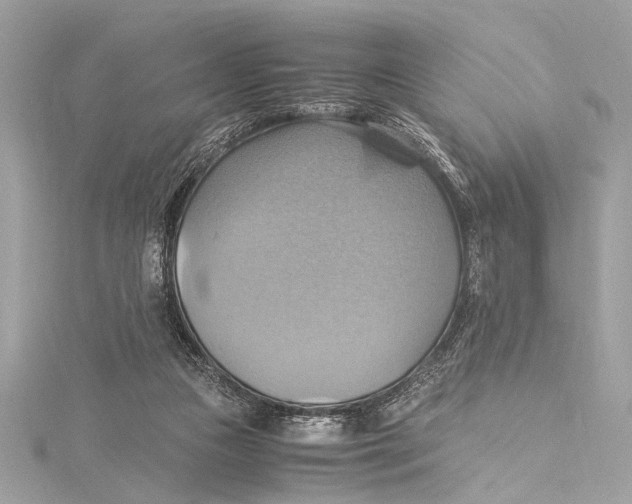 X0000115560161200912041100