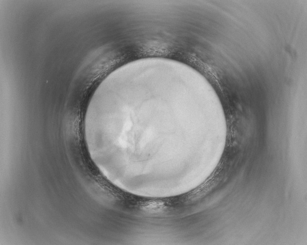 X0000115560162200912041100