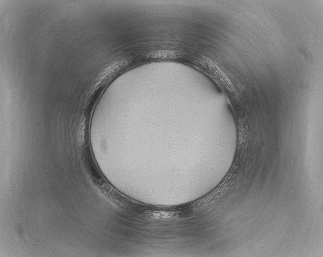 X0000115560163200912041100