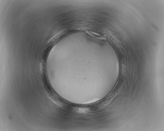 X0000115560165200912041100