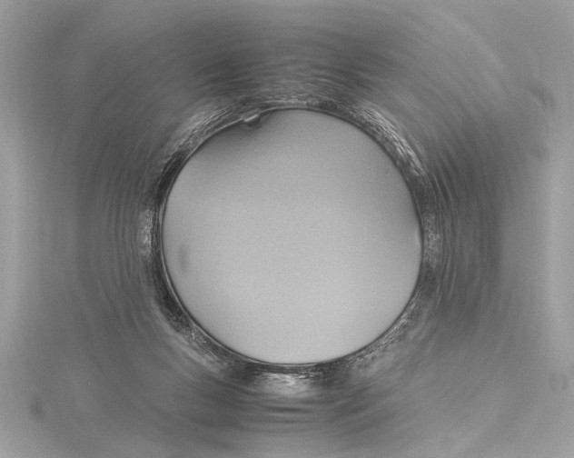 X0000115560167200912041100