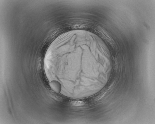 X0000115560169200912041100