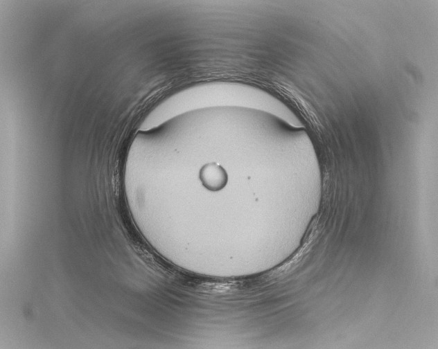 X0000115560170200912041100