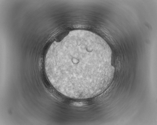 X0000115560171200912041100