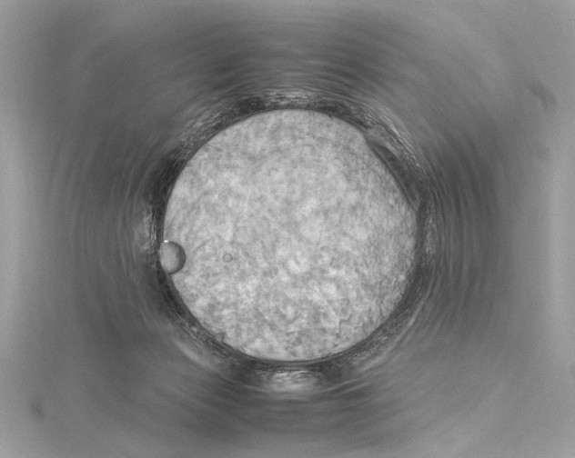 X0000115560173200912041100