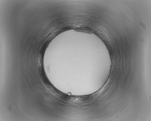 X0000115560174200912041100