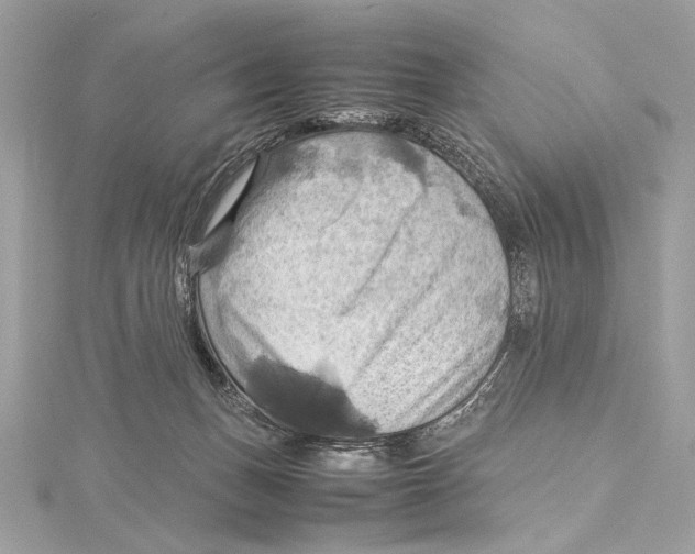 X0000115560175200912041100