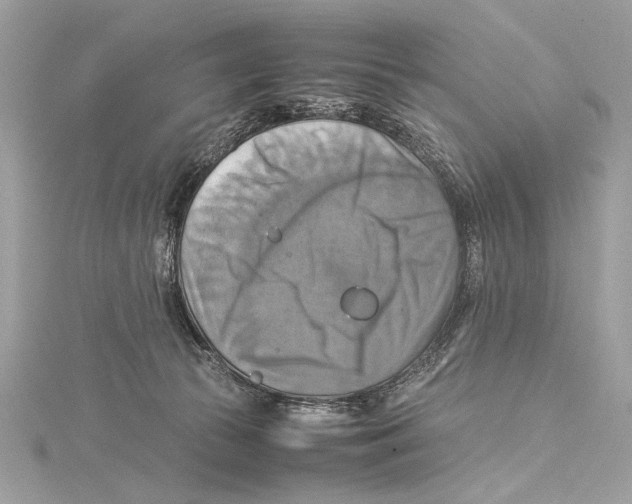 X0000115560177200912041100