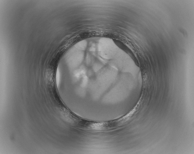 X0000115560178200912041100