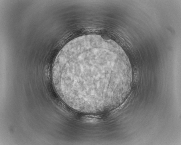 X0000115560179200912041100