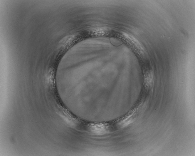 X0000115560181200912041100