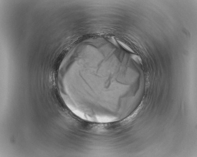 X0000115560182200912041101