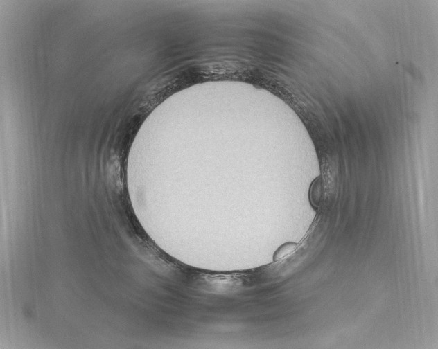 X0000115560187200912041101