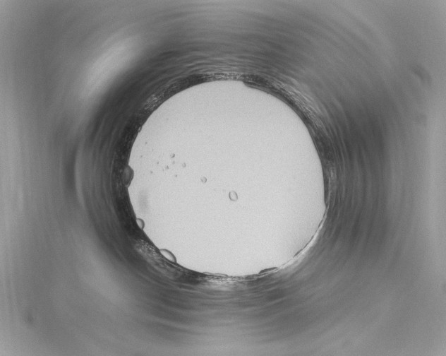 X0000115560190200912041101