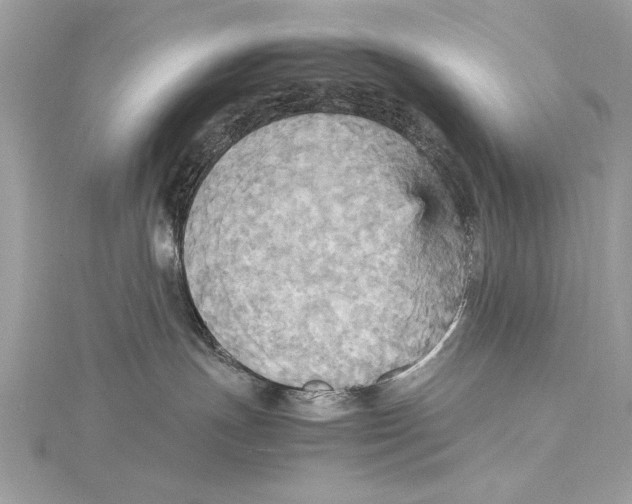 X0000115560191200912041101