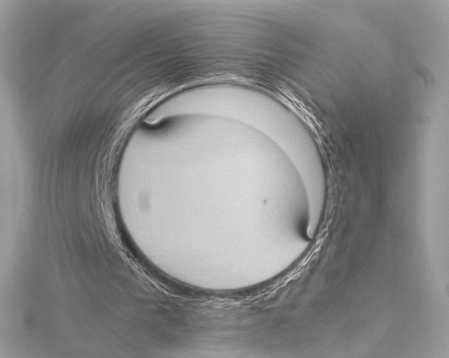 X0000115560193200912041100