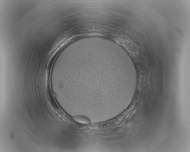 X0000115560194200912041100