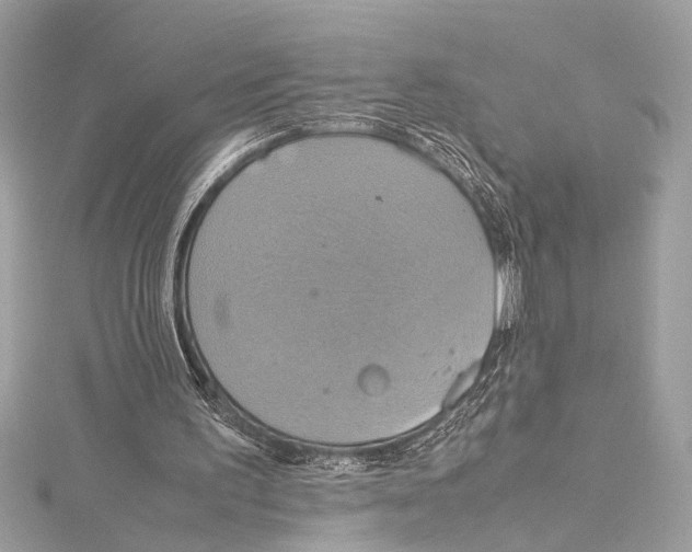 X0000115560195200912041100