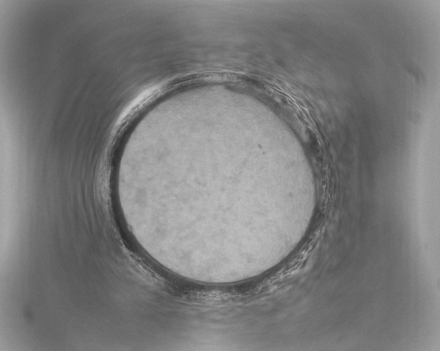 X0000115560197200912041100