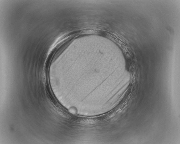 X0000115560198200912041100