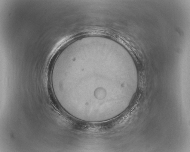 X0000115560199200912041100